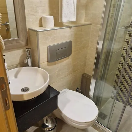 Pera Arya Hotel 3*